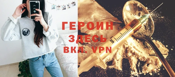 гашик Дубна