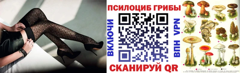 mega рабочий сайт  Заполярный  Псилоцибиновые грибы Psilocybine cubensis 
